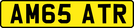 AM65ATR