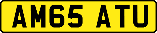 AM65ATU