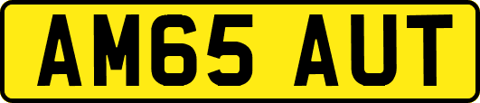 AM65AUT