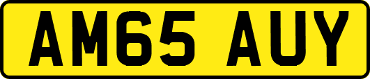 AM65AUY