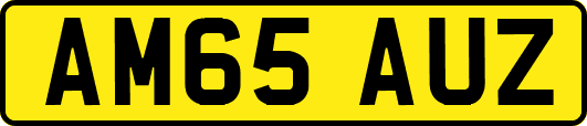 AM65AUZ