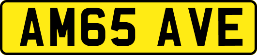 AM65AVE