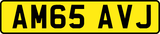 AM65AVJ