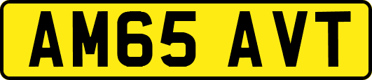 AM65AVT