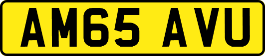 AM65AVU