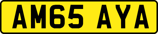 AM65AYA