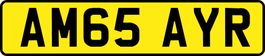 AM65AYR