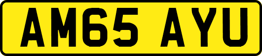 AM65AYU