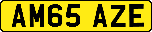 AM65AZE