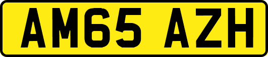 AM65AZH