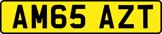 AM65AZT