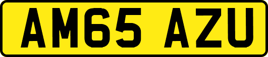 AM65AZU