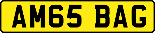 AM65BAG