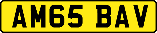 AM65BAV
