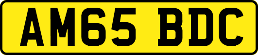 AM65BDC