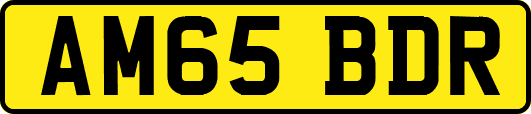 AM65BDR