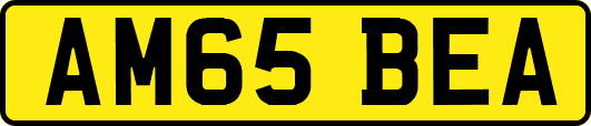 AM65BEA