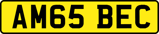 AM65BEC