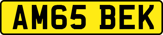 AM65BEK