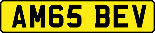 AM65BEV