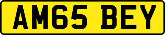 AM65BEY
