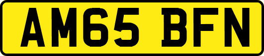 AM65BFN