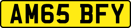 AM65BFY