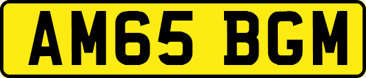 AM65BGM