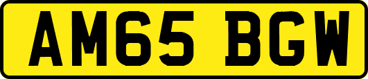 AM65BGW