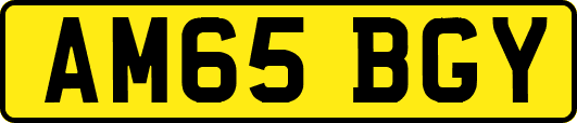 AM65BGY