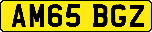 AM65BGZ