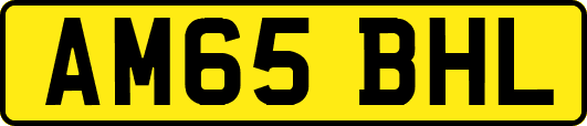 AM65BHL