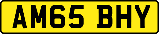 AM65BHY