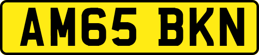 AM65BKN