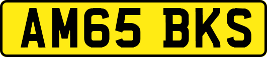 AM65BKS