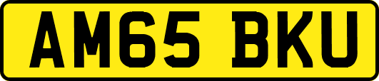 AM65BKU