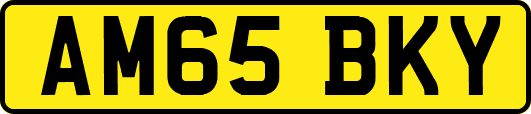 AM65BKY