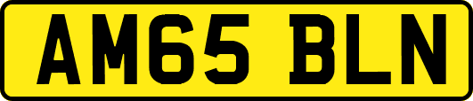AM65BLN