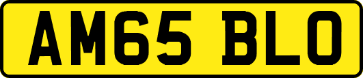 AM65BLO
