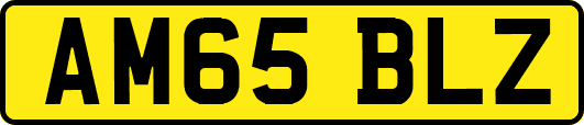 AM65BLZ