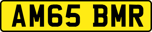 AM65BMR