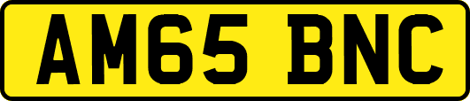 AM65BNC