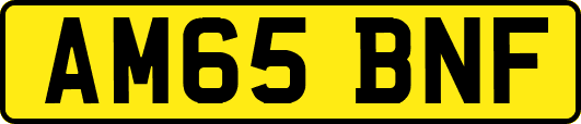 AM65BNF