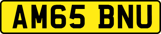 AM65BNU