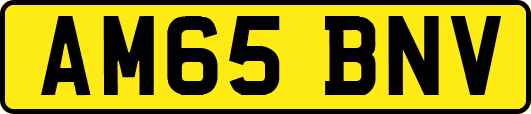 AM65BNV