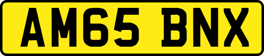 AM65BNX