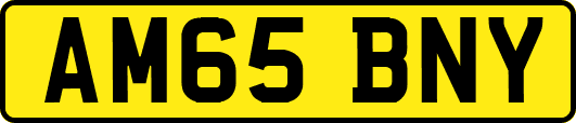AM65BNY
