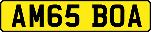 AM65BOA