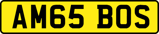 AM65BOS
