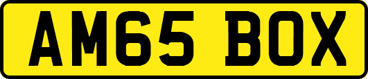 AM65BOX